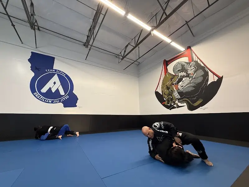 Team Alpha Brazilian Jiu-Jitsu- Fairfield BJJ Academy - photo 1