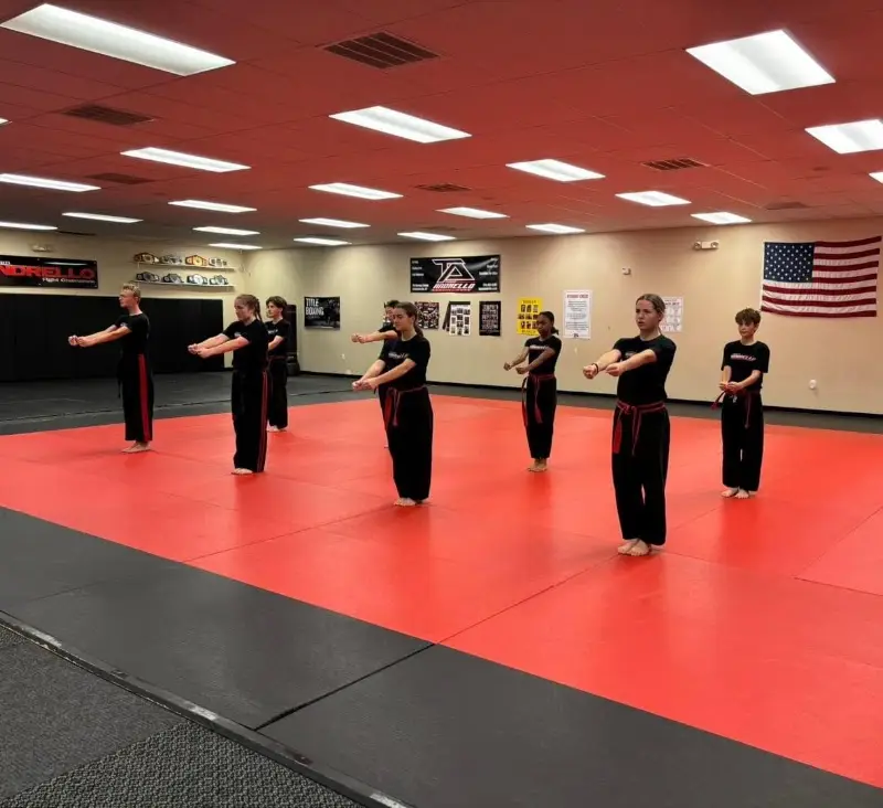 Team Andrello Baldwinsville Martial Arts