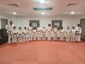 Inside Team Elite Martial Arts academy