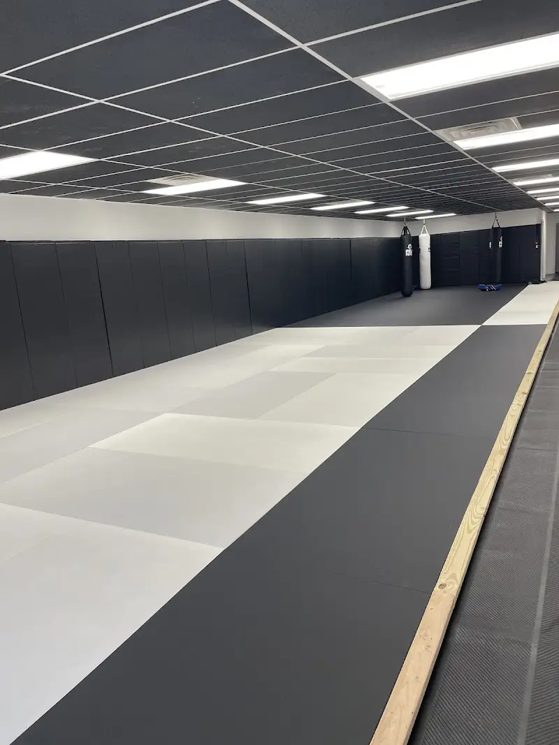 Team Hansen BJJ BJJ Academy - photo 1