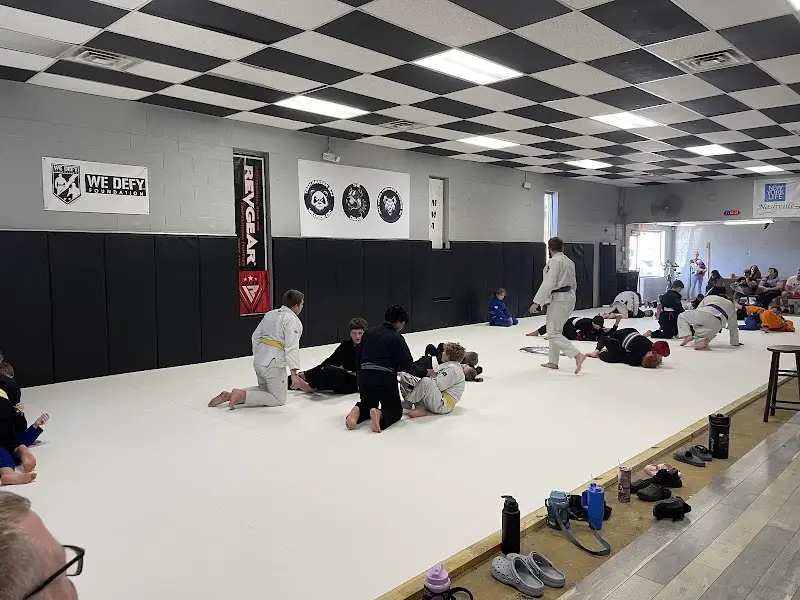 Team Hansen BJJ BJJ Academy - photo 2