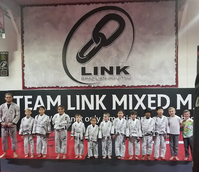 Team Link Ludlow MA - Brazilian Jiu Jitsu BJJ Academy - photo 1