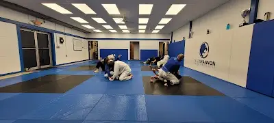 Team Mannon BJJ BJJ Academy - photo 3