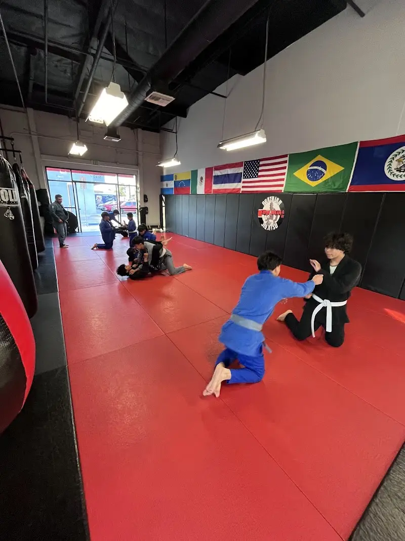 Team Mata Jiu Jitsu BJJ Academy - photo 2