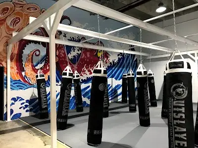 Team Octopus Fitness Midtown BJJ Academy - photo 1