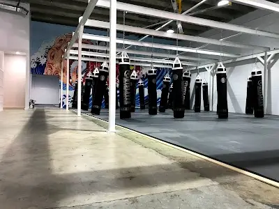 Team Octopus Fitness Midtown BJJ Academy - photo 2