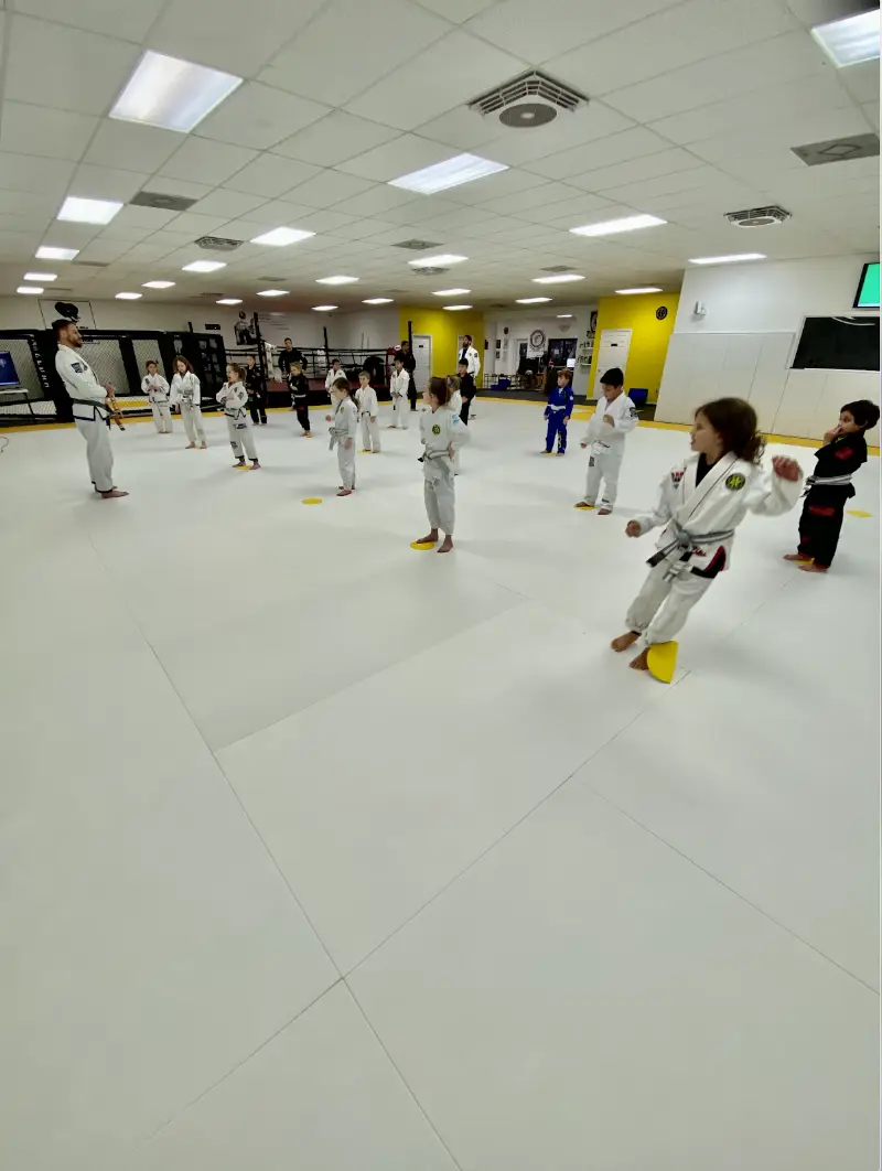 Team Rabadi Brazilian Jiu Jitsu & Muay Thai BJJ Academy - photo 1