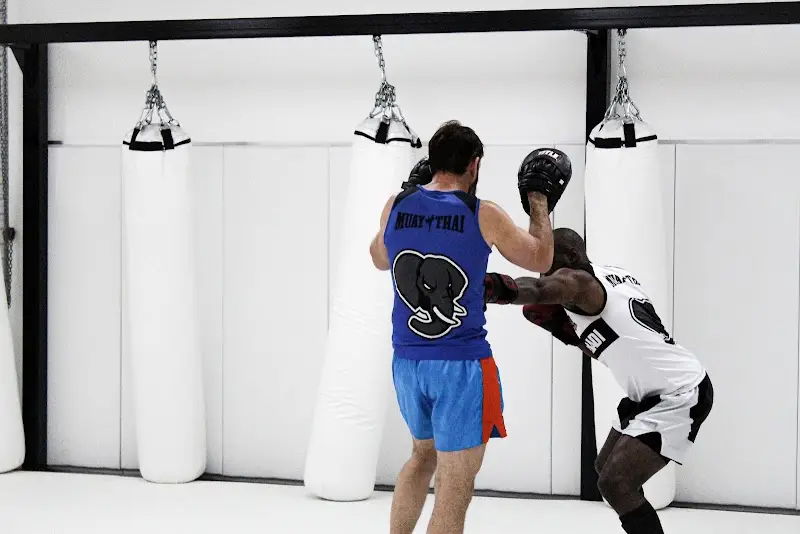 Team Rabadi Brazilian Jiu Jitsu & Muay Thai BJJ Academy - photo 2