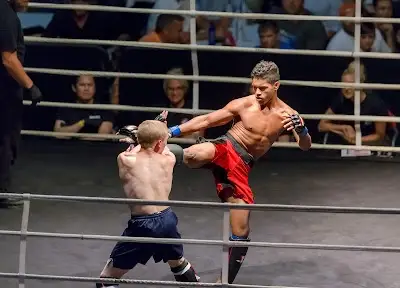 Team Remedy Brazilian Jiu jitsu, kickboxing, and MMA BJJ Academy - photo 3