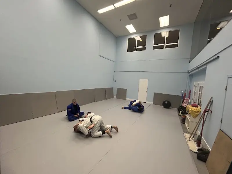 Team Silva Martial Arts Academy BJJ Academy - photo 1