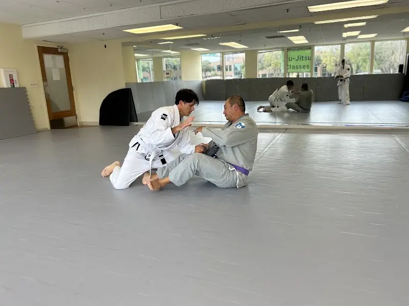 Team Silva Martial Arts Academy BJJ Academy - photo 2