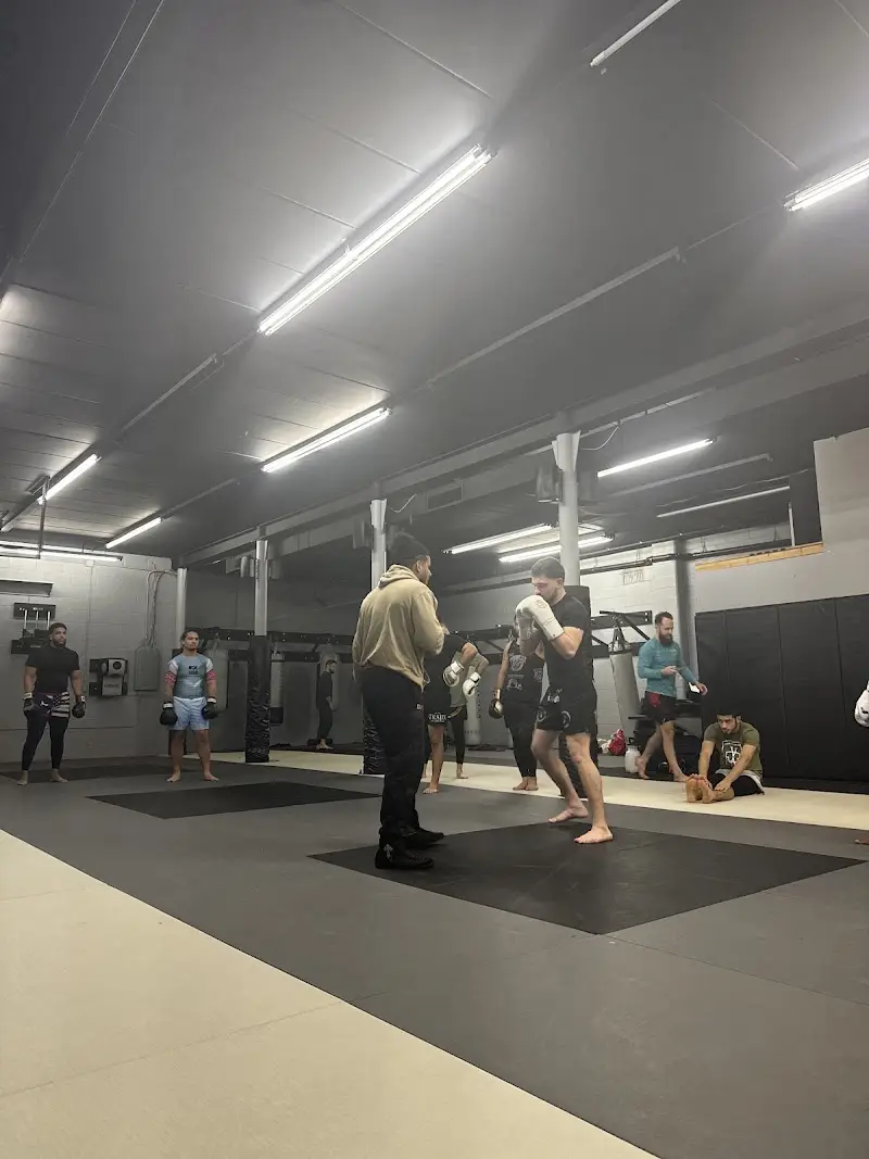 Team Taino Martial Arts & Fitness BJJ Academy - photo 2