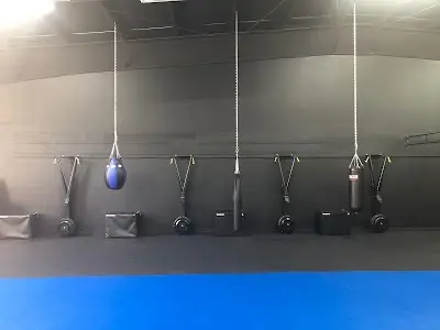 Team Wise Training Center BJJ Academy - photo 4