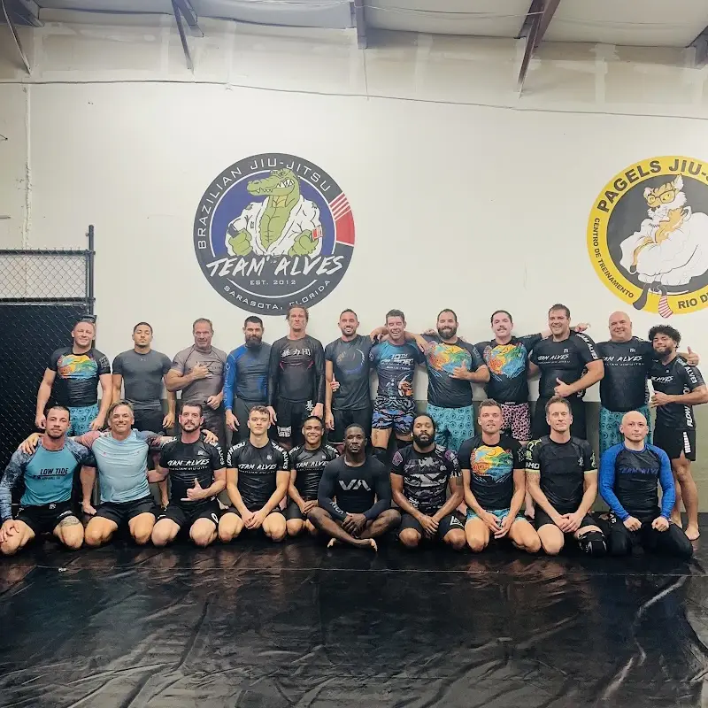 TeamAlves Brazilian Jiu-Jitsu school BJJ Academy - photo 1
