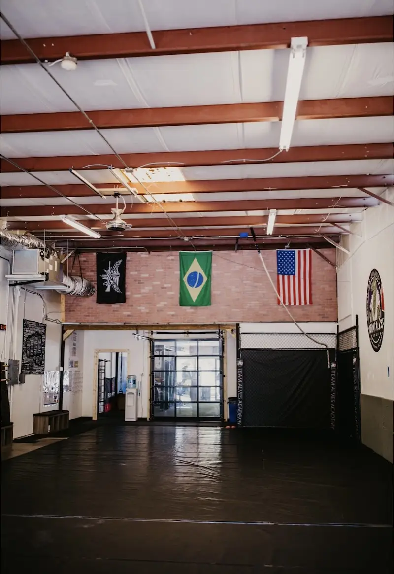 TeamAlves Brazilian Jiu-Jitsu school BJJ Academy - photo 2