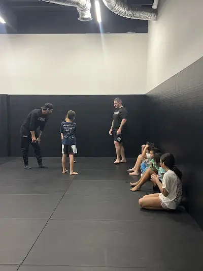 Teams MMA BJJ Academy - photo 1