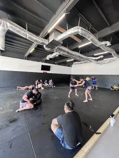 Teams MMA BJJ Academy - photo 3