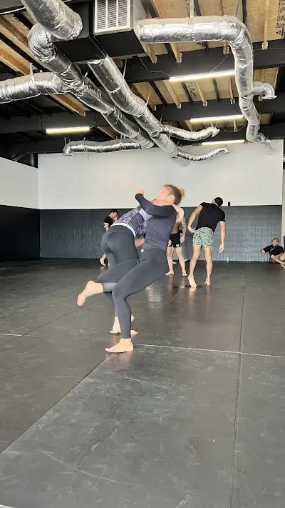 Teams MMA BJJ Academy - photo 4