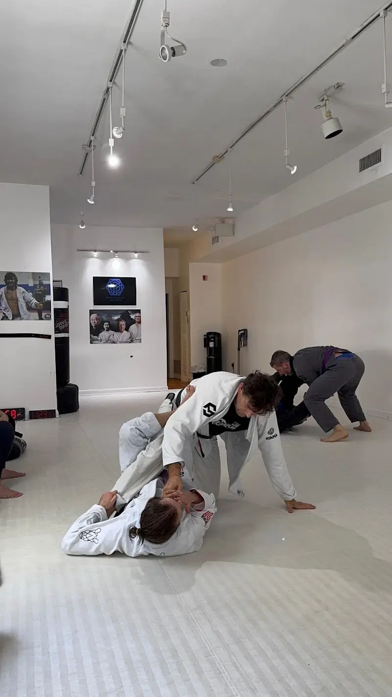 Temple Martial Art Studio BJJ Academy - photo 2