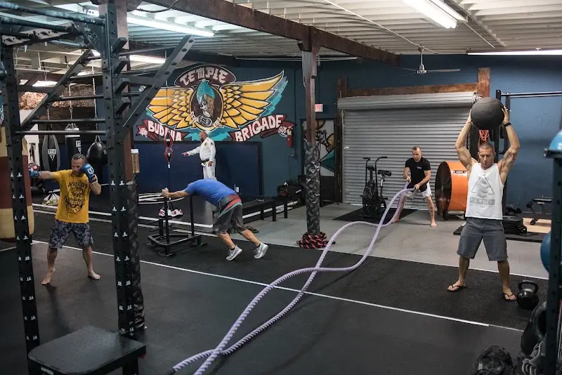 Temple Martial Arts & Fitness BJJ Academy - photo 1