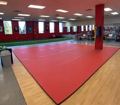 Temporal Brazilian Jiu Jitsu Academy BJJ Academy - photo 1