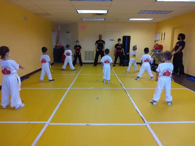 Ten Tigers Kung-Fu Academy BJJ Academy - photo 2