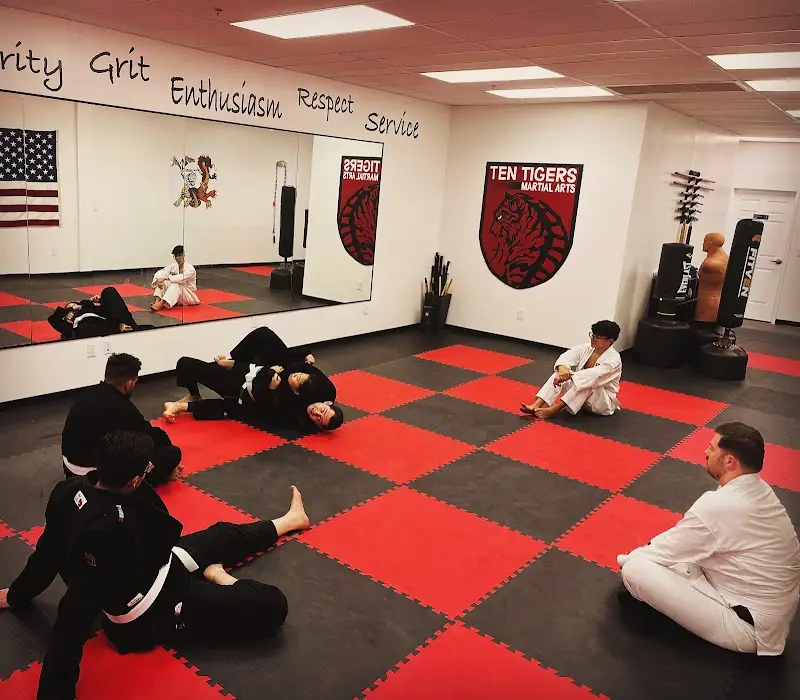 Ten Tigers Martial Arts - Karate - Kung Fu - Jiu Jitsu BJJ Academy - photo 2