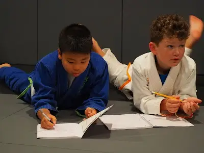 Testudo BJJ Judo BJJ Academy - photo 1