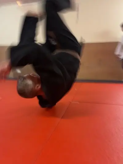 Tetsu Tori Jujitsu Dojo BJJ Academy - photo 3