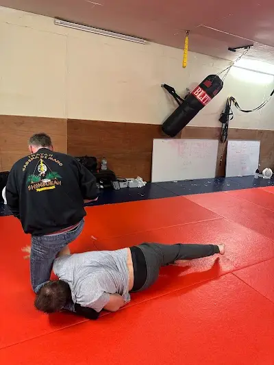 Tetsu Tori Jujitsu Dojo BJJ Academy - photo 4