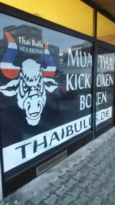 Thai Bulls Heilbronn BJJ Academy - photo 1