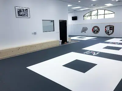 The Academy of Brazilian Jiu Jitsu