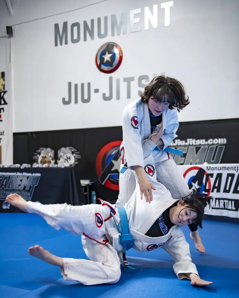 The Academy of Martial Arts BJJ Academy - photo 2