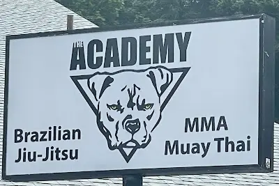 The Academy BJJ Academy - photo 1