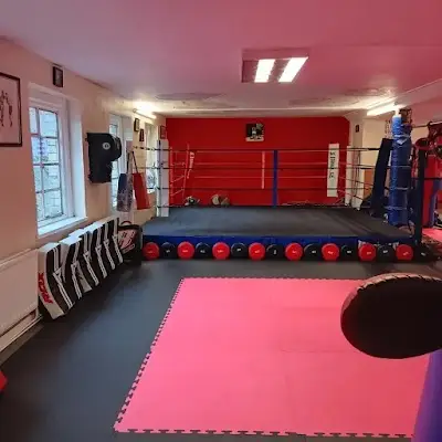 The Advanced Fighting Centre est. 1993