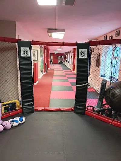 The Advanced Fighting Centre est. 1993 BJJ Academy - photo 2