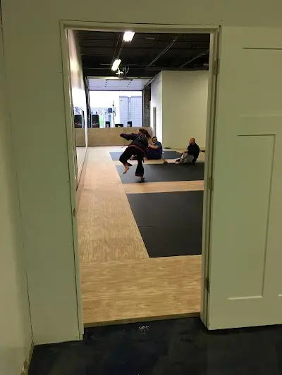 The Art MMA BJJ Academy - photo 3