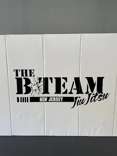 The B-Team Jiu Jitsu (New Jersey) BJJ Academy - photo 2