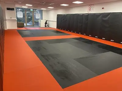 The BJJ Place - West Hampstead Dojo