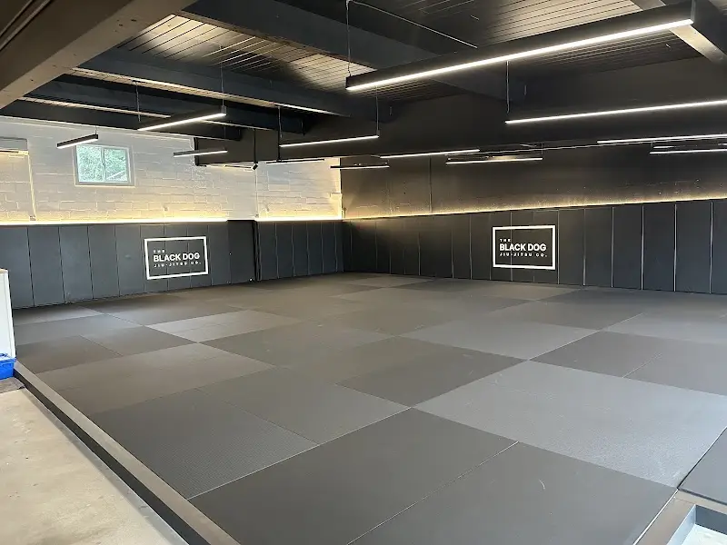 The Black Dog Jiu-Jitsu Company BJJ Academy - photo 1