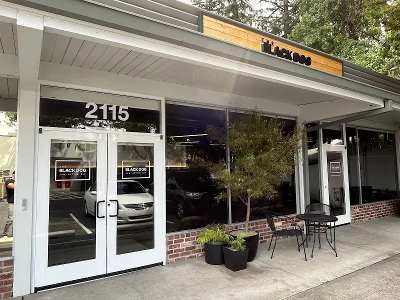 The Black Dog Jiu-Jitsu Company BJJ Academy - photo 2