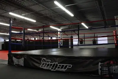 The Cellar Gym BJJ Academy - photo 3