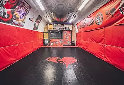 The Commando Temple BJJ Academy - photo 4