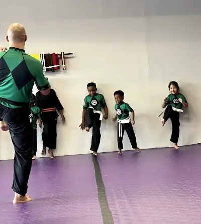 The Dojang Martial Arts & Fitness BJJ Academy - photo 1