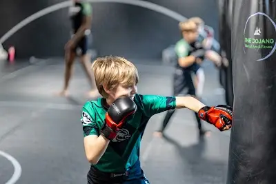 The Dojang Martial Arts & Fitness BJJ Academy - photo 2