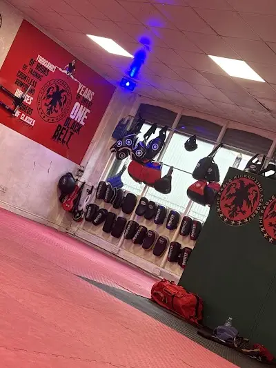 The Eagle Kickboxing Academy BJJ Academy - photo 2