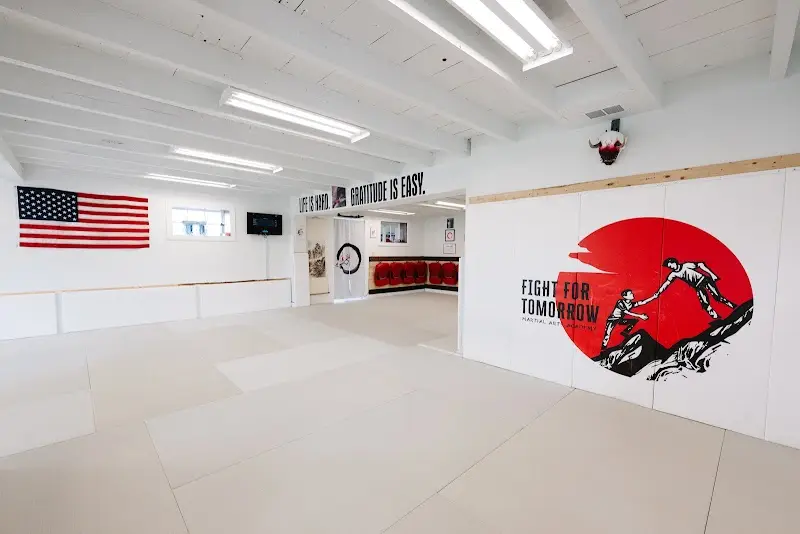 The Fight For Tomorrow Martial Arts Academy BJJ Academy - photo 2