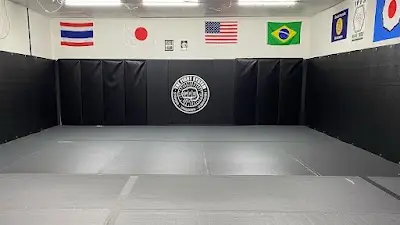 The Fight System BJJ Academy - photo 3