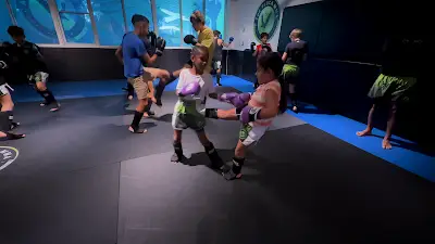 The Flock MMA Academy BJJ Academy - photo 1