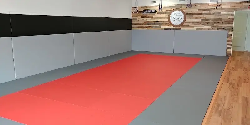 The Forge BJJ Academy - photo 2
